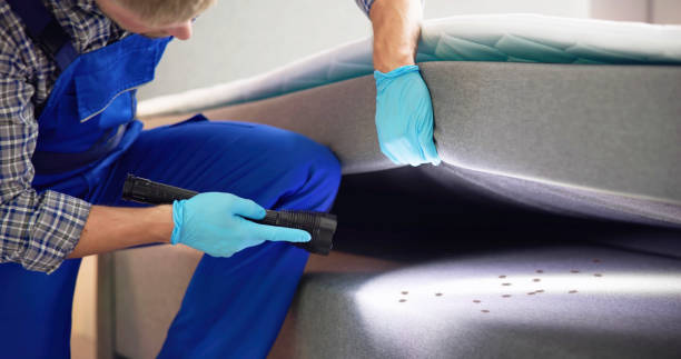 Best Pest Removal Services  in Penn Yan, NY