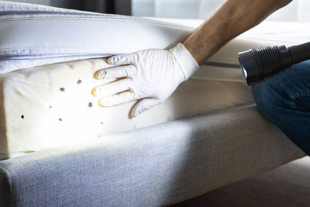 Best Best Pest Control Companies  in Penn Yan, NY