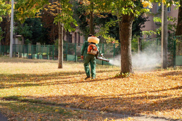 Best Flea Control Services  in Penn Yan, NY